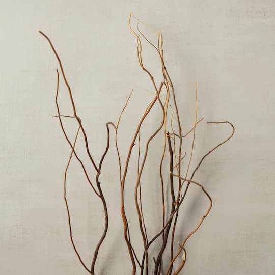 12 Pack: Natural Curly Willow by Ashland®